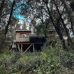 Les Cabanes Dans Les Bois