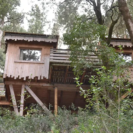 Les Dans Les Bois Logis Villedubert
