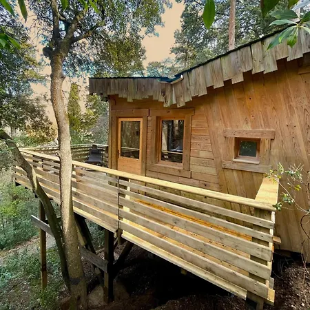 Hotel Les Dans Les Bois Logis Villedubert
