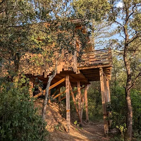 Hotel Les Dans Les Bois Logis