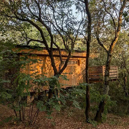 Les Dans Les Bois Logis Hotel Villedubert