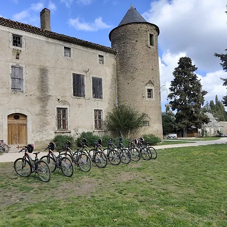 Les Dans Les Bois Logis 3* Villedubert