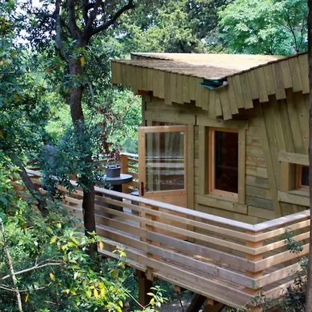Les Dans Les Bois Logis