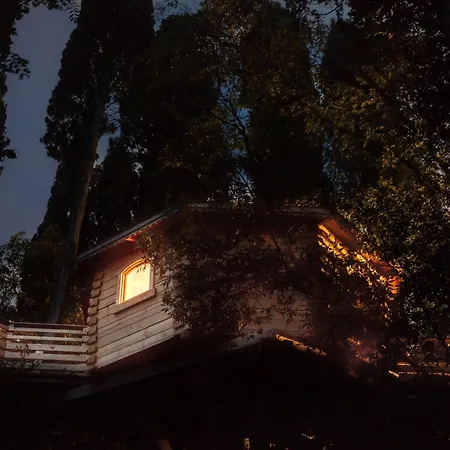 Les Dans Les Bois Logis Hotel Villedubert