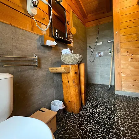 Les Dans Les Bois Logis Villedubert
