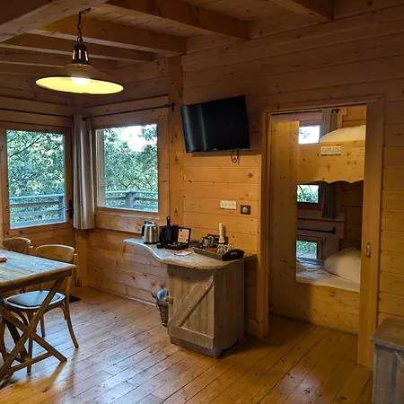Les Dans Les Bois Logis 3* Villedubert
