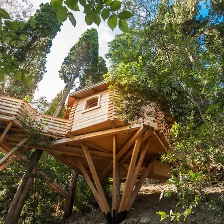 Hotel Les Dans Les Bois Logis Villedubert