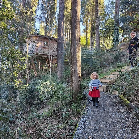 Les Dans Les Bois Logis Villedubert