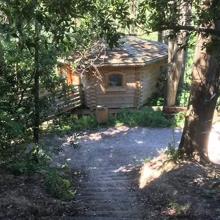 Hotel Les Dans Les Bois Logis Villedubert