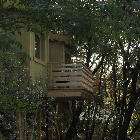 Les Dans Les Bois 3*