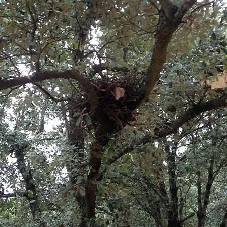 Les Dans Les Bois 3* Villedubert