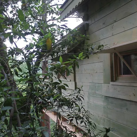 Hotel Les Dans Les Bois Villedubert