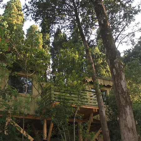 Les Dans Les Bois Logis Villedubert