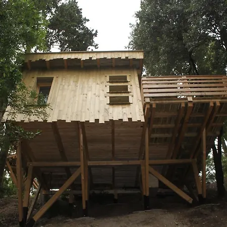 Les Cabanes Dans Les Bois