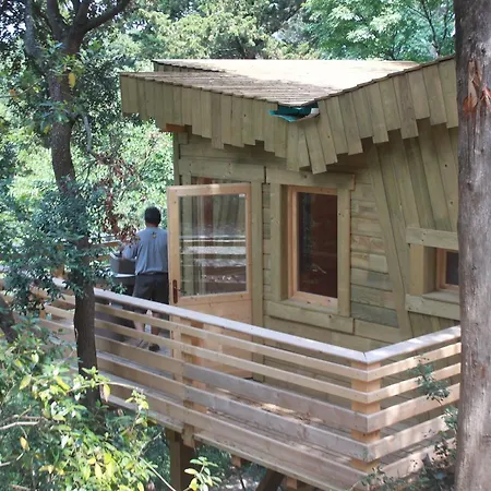 Les Dans Les Bois Villedubert