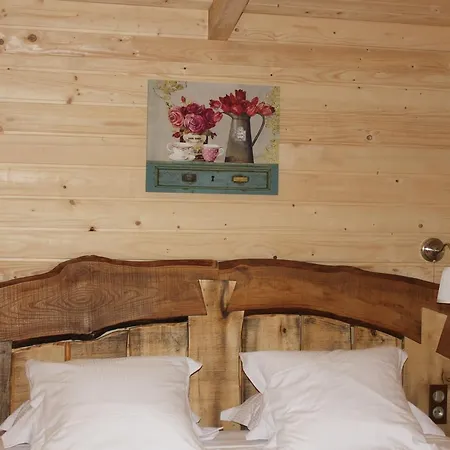 Hotel Les Dans Les Bois Villedubert