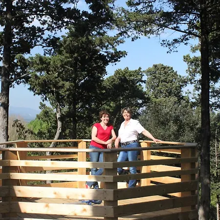 Les Dans Les Bois 3* Villedubert