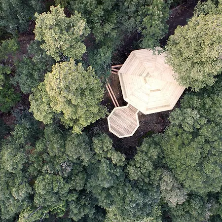 Les Dans Les Bois 3*