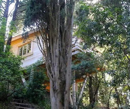 Les Cabanes Dans Les Bois Отель