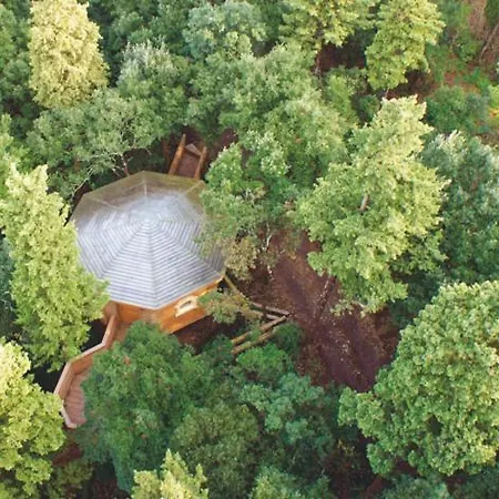 Les Dans Les Bois Hotel