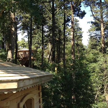 Les Dans Les Bois 3*