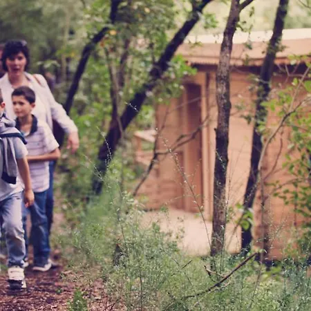 Les Dans Les Bois