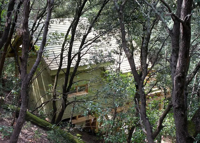 Les Dans Les Bois Logis Otel 3*