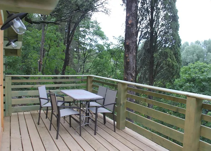 Les Dans Les Bois Logis Villedubert