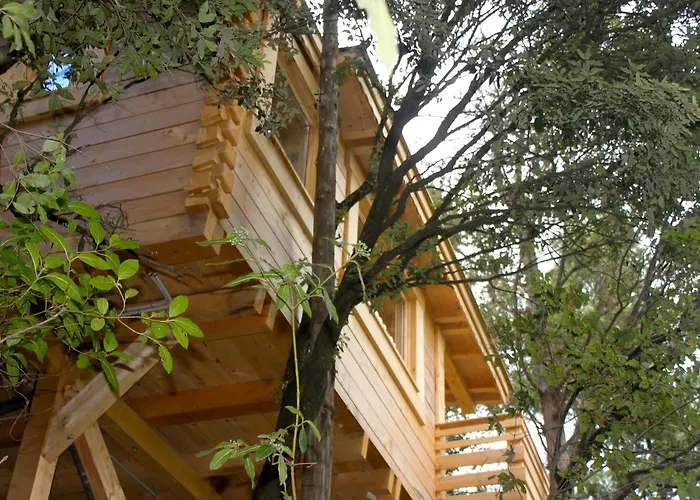 Les Dans Les Bois Logis Otel 3*