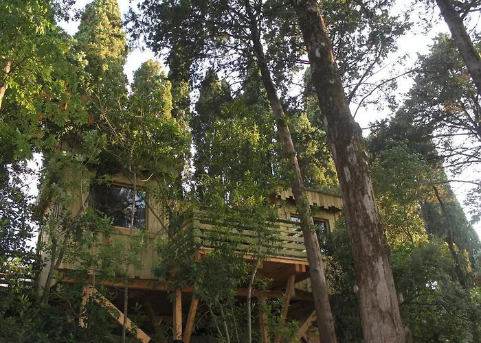 Les Dans Les Bois Logis Villedubert