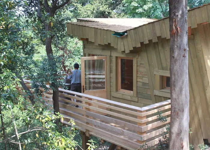 Les Dans Les Bois Logis Villedubert